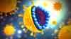 Wirus zapalenia wątroby typu C: Jak uniknąć zakażenia?