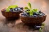 Berry wiciokrzew: właściwości użytkowe i receptury