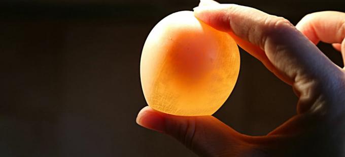 Egg - jajko