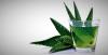 Aloe vera: Przydatne właściwości roślin, które masz na parapecie