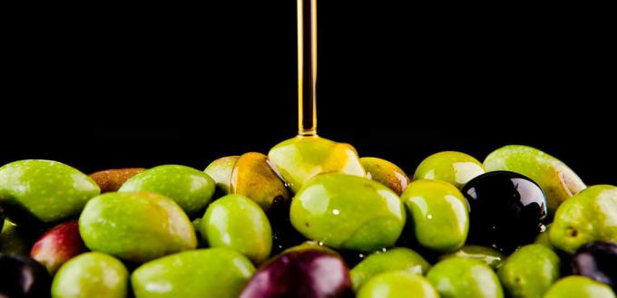 Oliwa z oliwek - oliwa z oliwek