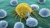 Jak natura pomaga walce z rakiem