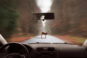 Kierowcy uważaj na drogach: 3 główne czynniki ryzyka