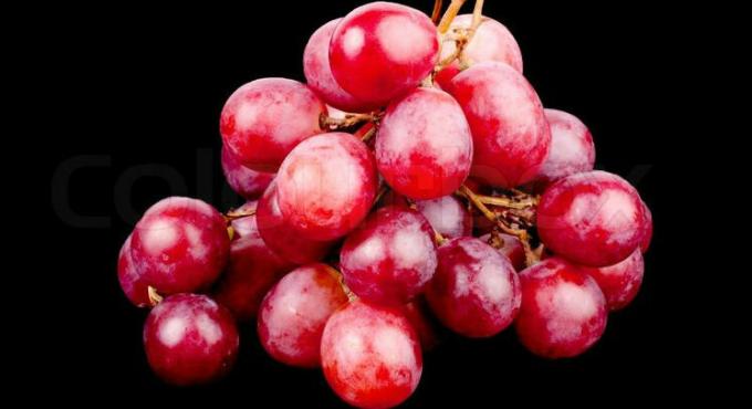 czerwonych winogron