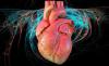 6 precyzyjne dane na temat chorób serca