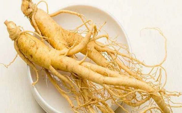 Ginseng - żeń-szeń