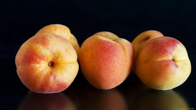 Apricot - morela