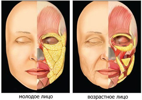 Zmiana fałdy tłuszczu na twarzy z wiekiem