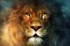 12 charakterystyka lwy, dla których będzie je kochają