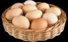 10 z właściwości jaj. Mit o ich szkodliwości