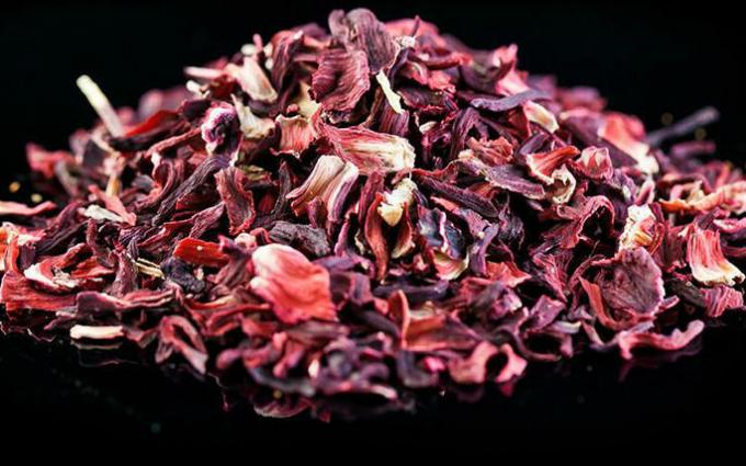Herbata hibiskusa - Hibiscus herbata