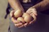 Wszystko, co chciałeś wiedzieć o jajach kurzych: 5 podstawowych faktów